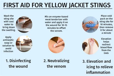 What neutralizes yellow jacket venom?