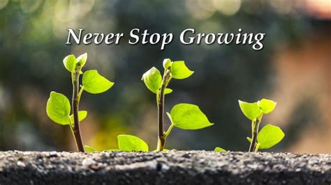 What never stops growing?
