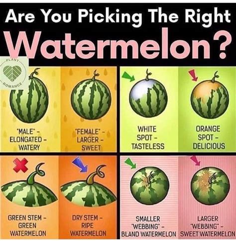 What not to eat with watermelon?