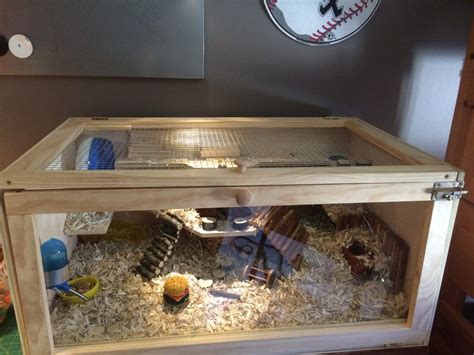 What not to put in a hamster cage?
