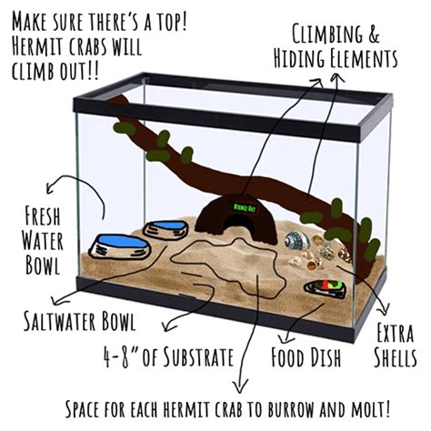 What not to put in a hermit crab tank?