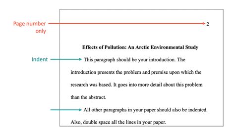 What not to say in an APA paper?