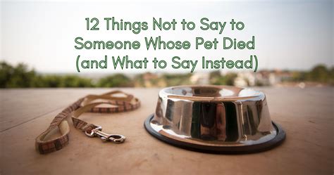What not to say when a pet dies?