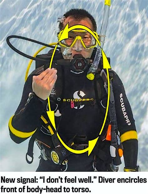 What not to touch when diving?