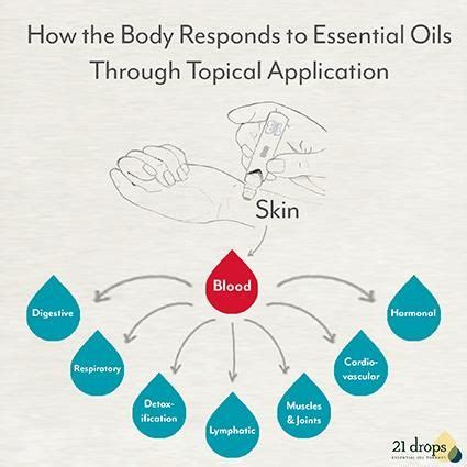What oil doesn't penetrate skin?