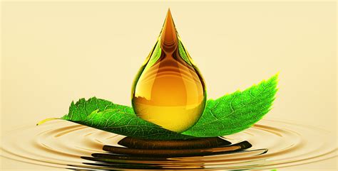 What oil is biodegradable?