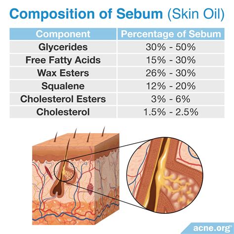 What oil is closest to sebum?