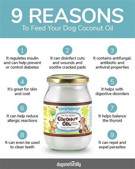What oil is good for dogs?
