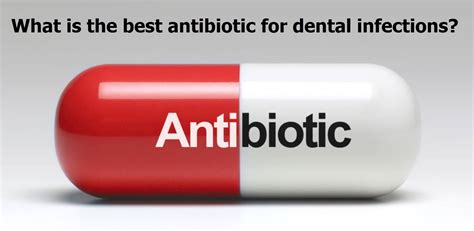 What oral antibiotics are used for abscesses?