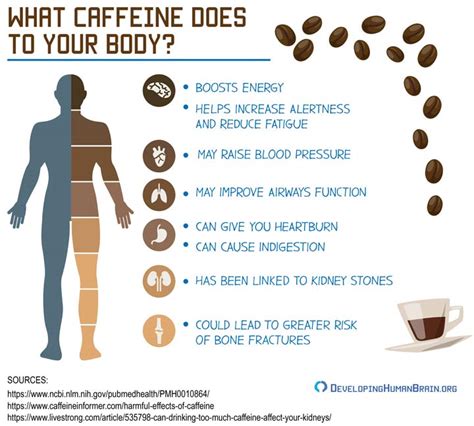 What organ does coffee damage?