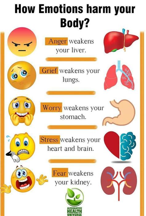 What organ holds sadness?