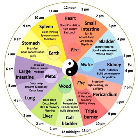 What organ is active at 6pm?