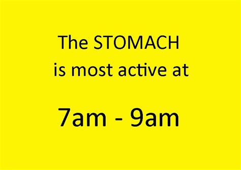 What organ is active at 7am?