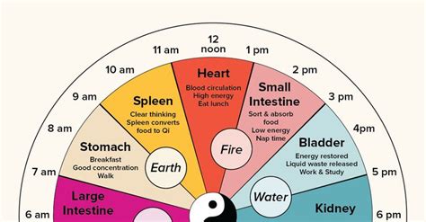 What organ is active at 9pm?