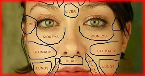 What organ is the nose connected to Chinese medicine?