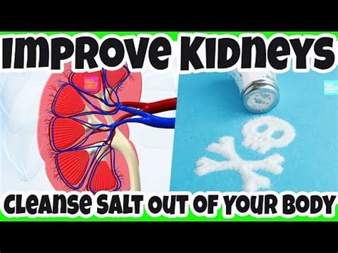 What organ removes salt from the body?