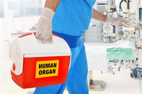 What organ transplants are most successful?