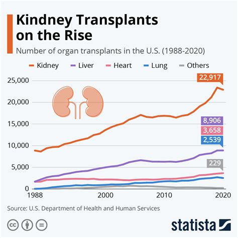 What organ transplants last the longest?