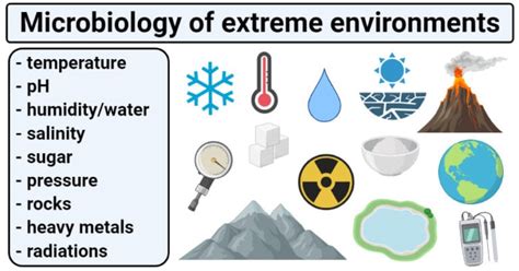 What organisms can thrive in extreme conditions such as extreme temperature and salinity?