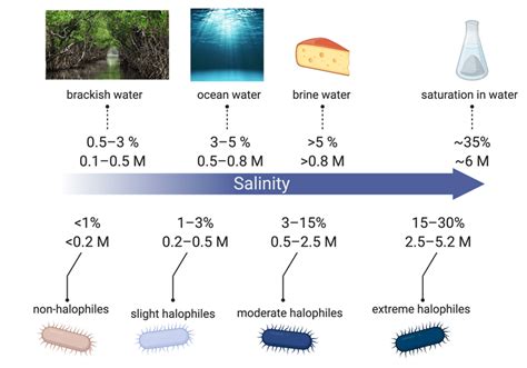 What organisms prefer high salt concentration habitat?