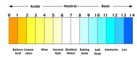 What pH is distilled water?