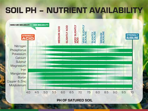 What pH should hydroponics water be?