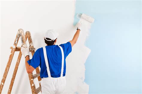 What paint do professionals use for walls?