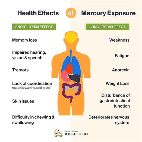 What part of the body does mercury affect the most?