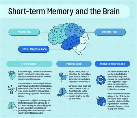 What part of the brain converts short-term memory to long-term memory?