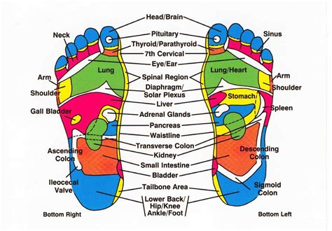 What part of the foot do you massage for anxiety?