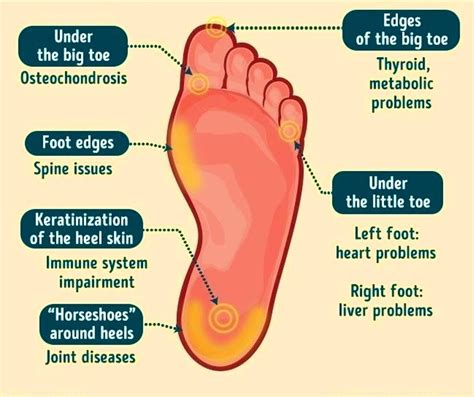 What part of your feet control your body?
