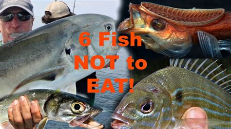 What parts of a fish can you not eat?