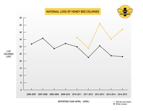 What percent of bees are dying?