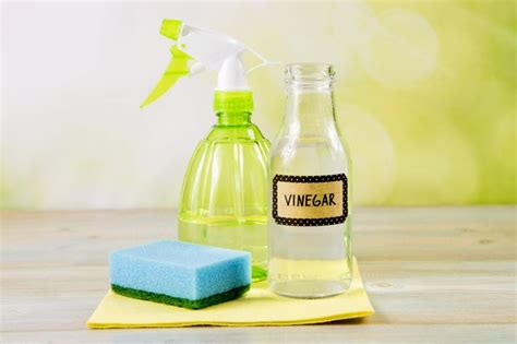 What percent vinegar kills bacteria?