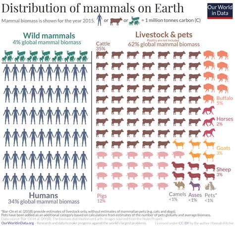 What percentage are mammals?