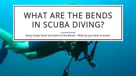 What percentage of scuba divers get the bends?