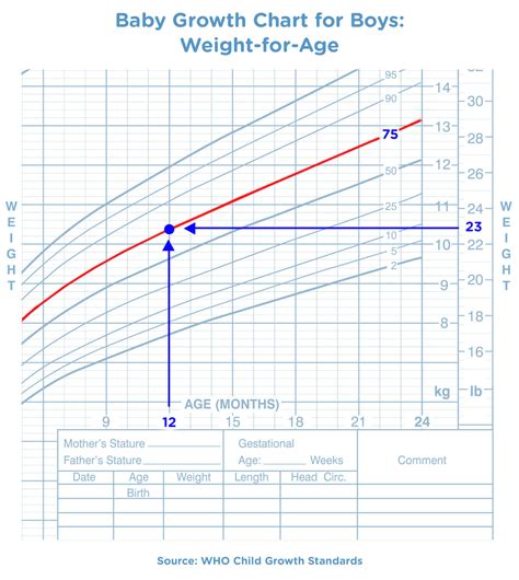 What percentile is skinny?