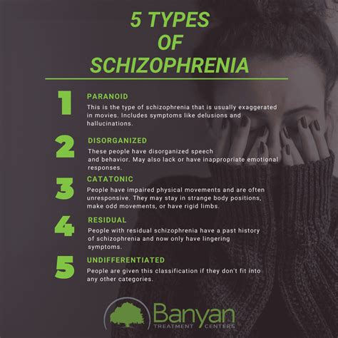 What personality type do schizophrenics have?