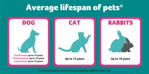 What pet can live 100 years?