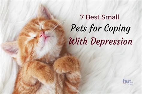 What pet is best for depression?