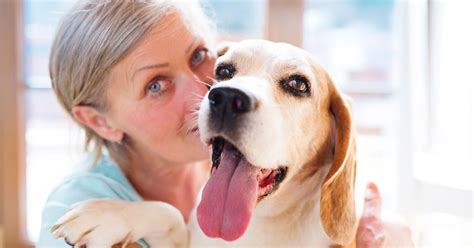 What pets are good for ADHD?