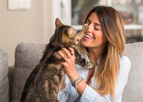 What pets make people the happiest?