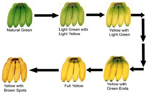 What pigment is in banana?