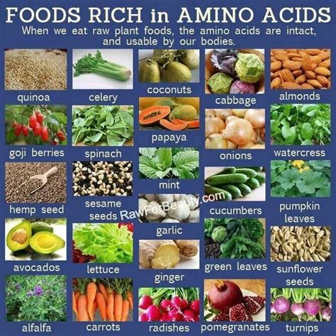 What plant has all amino acids?