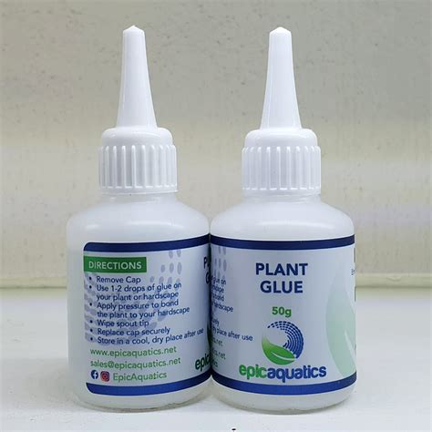 What plant is used as a glue?