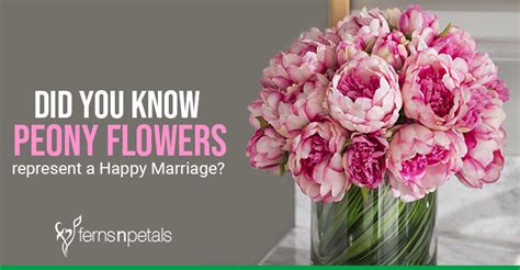 What plant signifies a happy marriage?