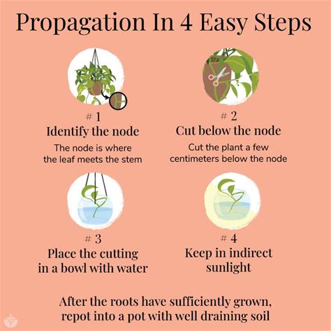 What plants Cannot be propagated by cuttings?