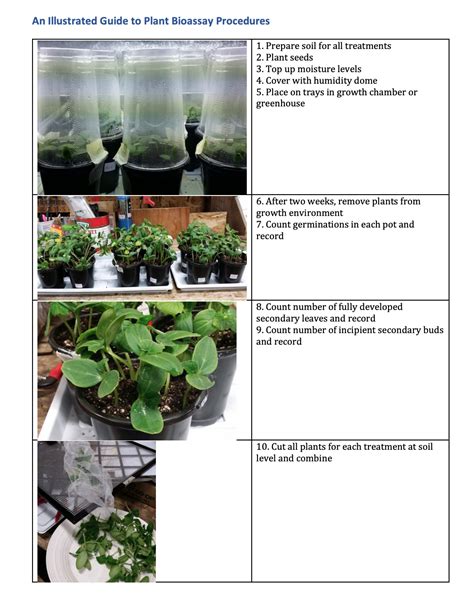 What plants are used in bioassay?