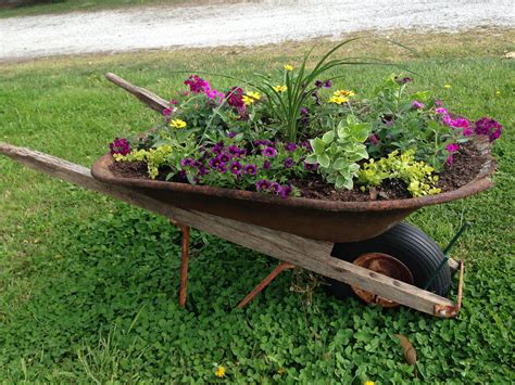 What plants can I put in a wheelbarrow?