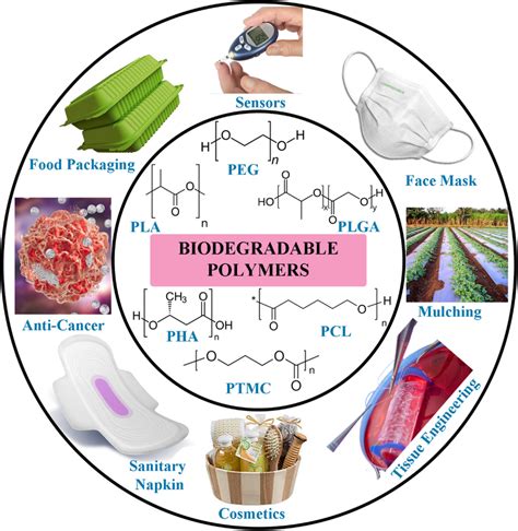 What polymers are biodegradable?